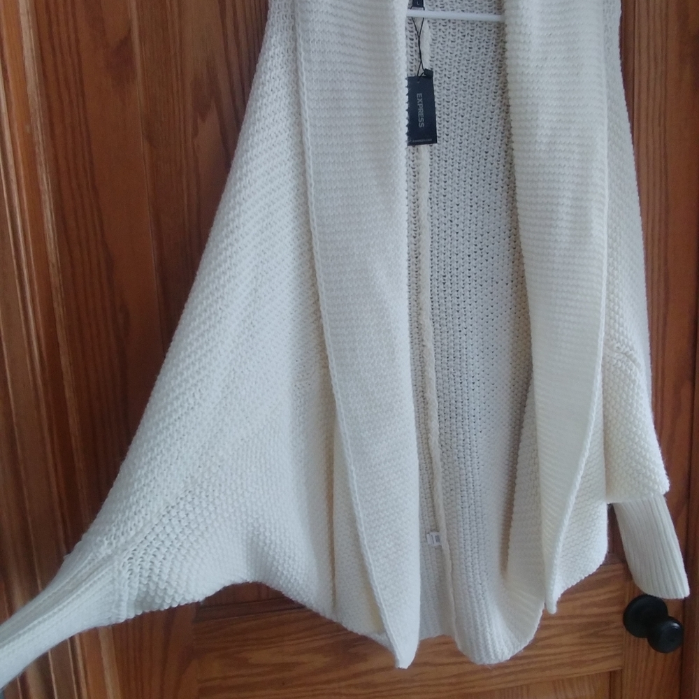 Nwt Express sweater